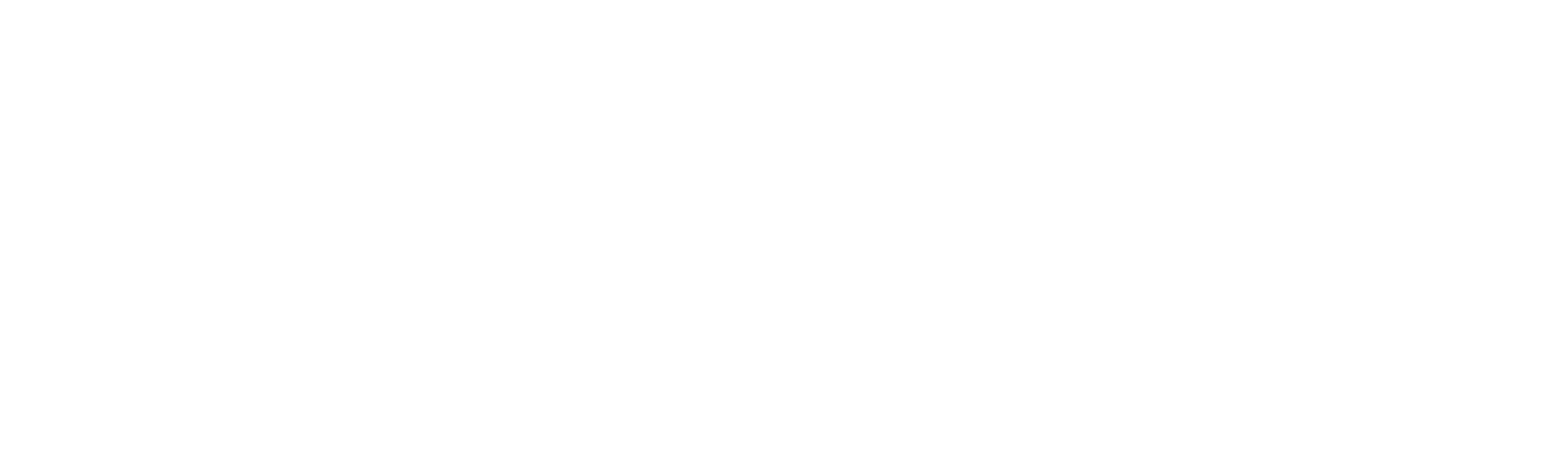 IDK_HORIZONTAL_LOGO_WHITE_26
